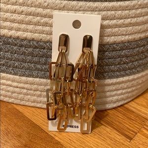 NWT earrings by express